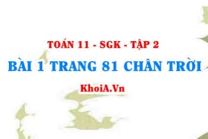 Bài 1 trang 81 Toán 11 Tập 2 Chân trời sáng tạo